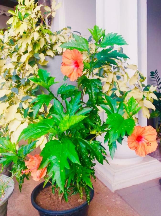 Ruslanka Homestay Ettukala Екстериор снимка